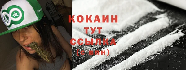 apvp Осинники