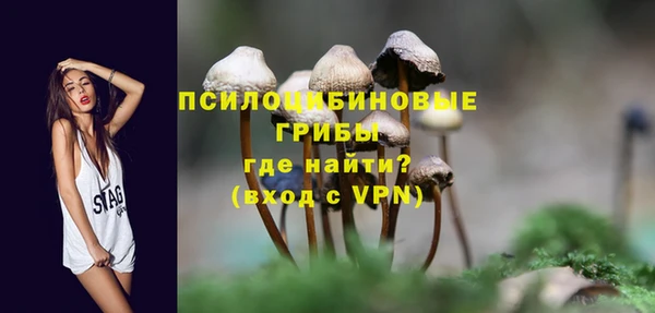 метадон Арсеньев