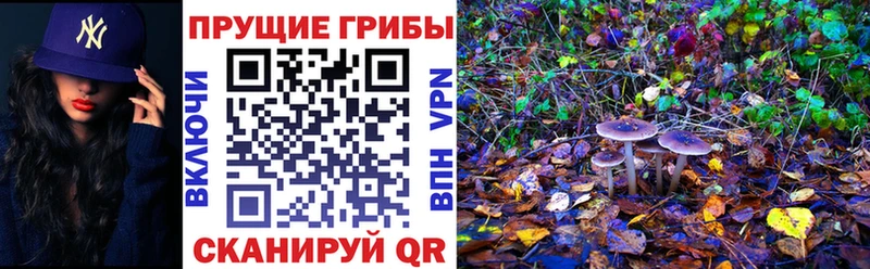 наркошоп  Сусуман  кракен как войти  Галлюциногенные грибы мухоморы 